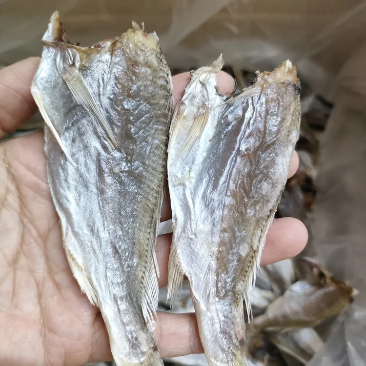 广东汕尾本港去头划鱼脯白花鱼脯微咸