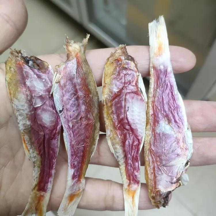 广东汕尾本港小条红鱼脯
