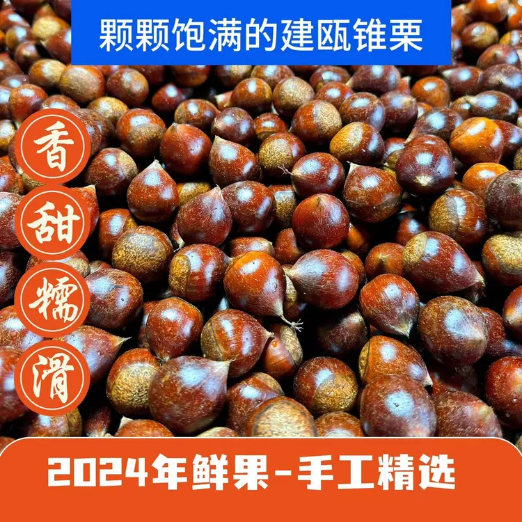 2024年新鲜上市建瓯高山锥栗应季水果软糯香甜