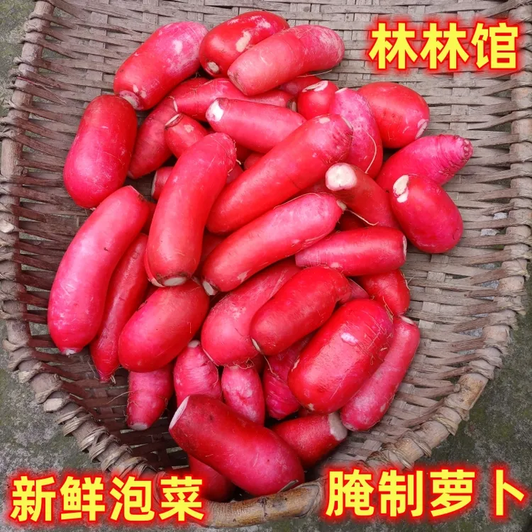新鲜小红萝卜正宗重庆四川本地白萝卜樱桃萝卜泡菜即使食嫩圆萝卜