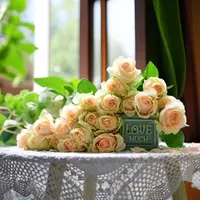 【暖色大花】蜜桃雪山香槟玫瑰 10/20枝 两单发京东冷链/EMS空运