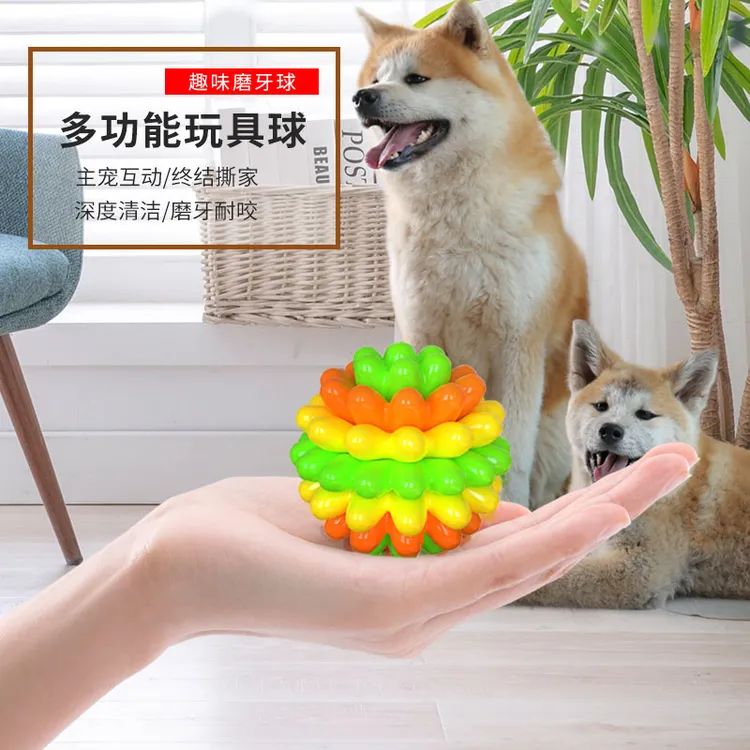    狗狗玩具店  TPR玩具耐咬磨牙球洁齿玩耍多肉小球