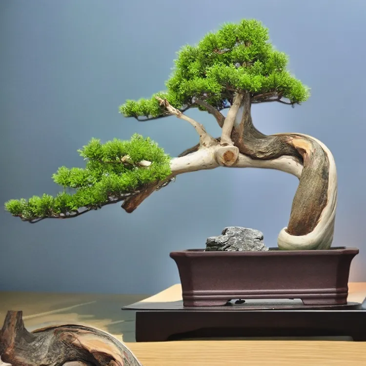 仿真迎客松盆景摆件罗汉松假松树玄关造景绿植 4号送摆件