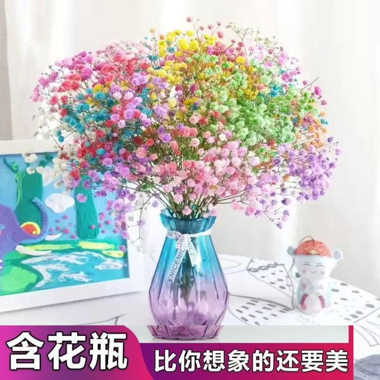 满天星【送花瓶】鲜花发货风干做干花家居摆件生日礼物网红粉色