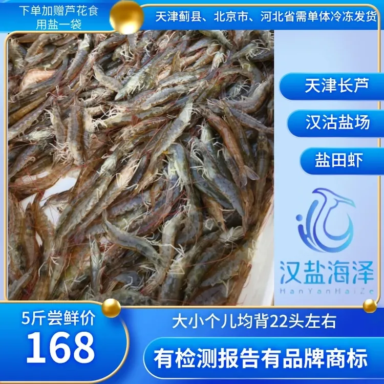 【汉沽盐场直营  产地直发】汉沽盐场盐田虾22头左右
