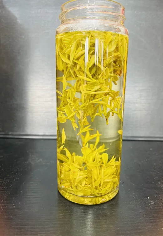 【25年新茶】H498款，明前高山黄金芽，豆香味足，罐装