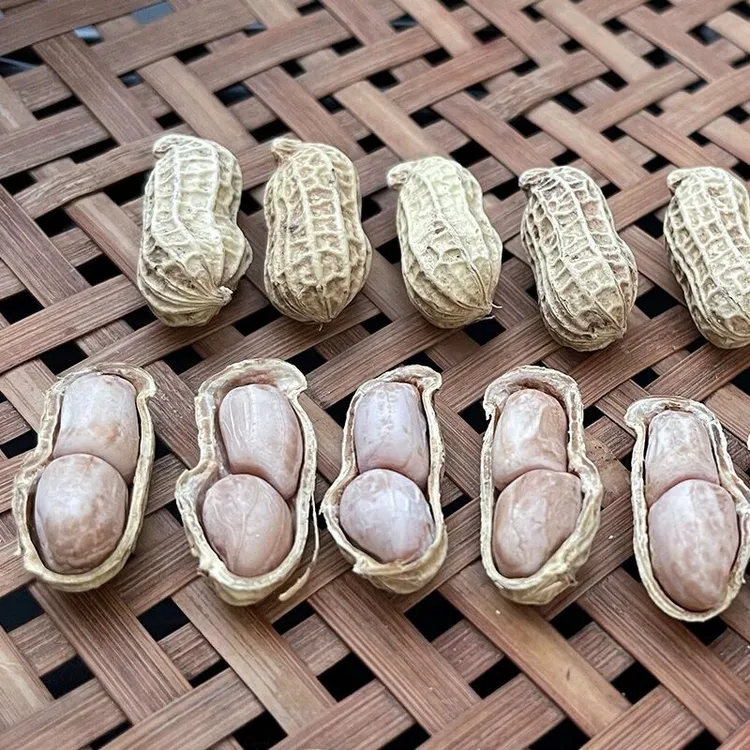 闽南特产农产品水煮花生自晒花生香甜可口有嚼劲三斤五斤散装甘甜