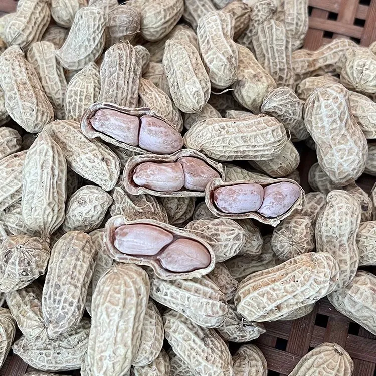 闽南特产农产品水煮花生自晒花生香甜可口有嚼劲三斤五斤散装