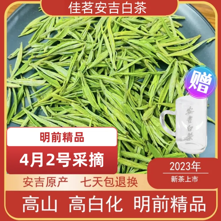 0402安吉白茶溪龙核心产区春季明前茶原产地发货品质纯正早春采摘