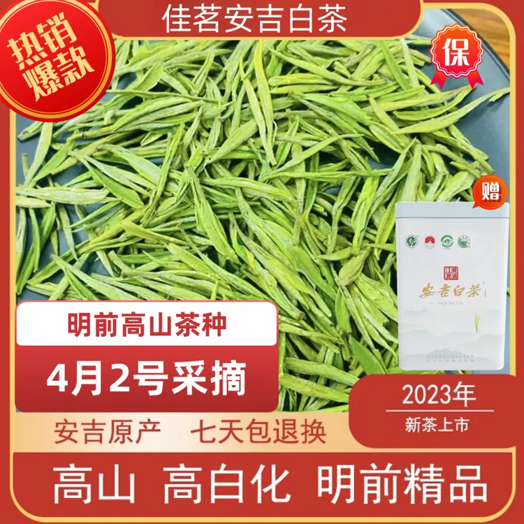 茗茶一号安吉原产地发货溪龙核心产区4月2号采摘明前茶品质好茶