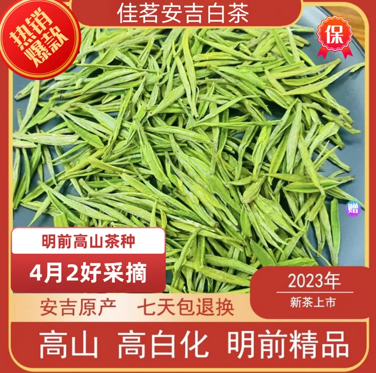茗茶一号安吉白茶浓郁兰花香口感 不苦不涩4月2号采摘品质好茶