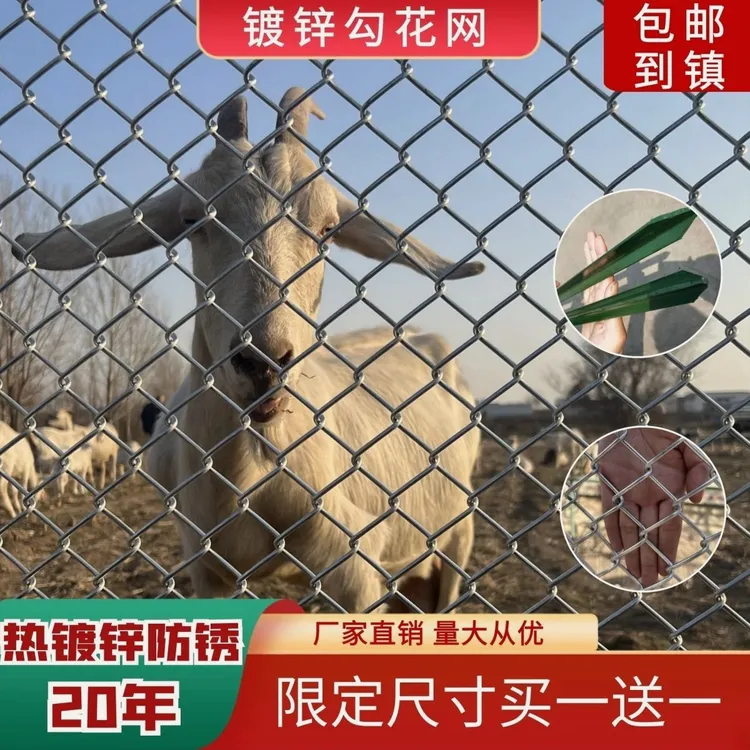 热镀锌镀锌铁丝网围栏养鸡牛羊养殖网勾花网钢丝网户外防锈防护网