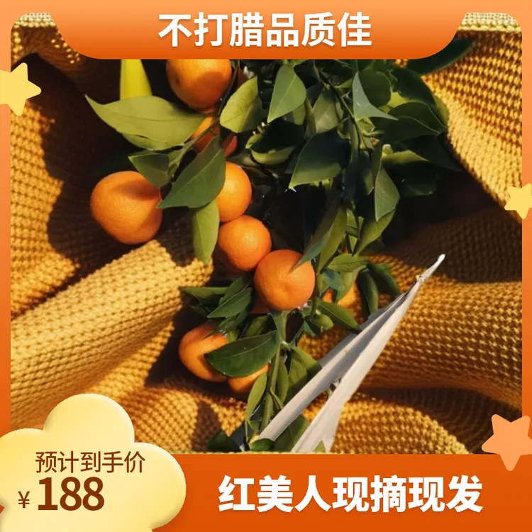 正宗浙江红美人新鲜爱媛28号10斤装