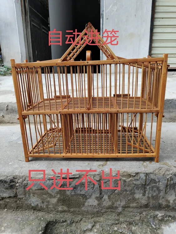 自动笼只进不出天落笼加密收鸽笼活络门撞门笼户长48厘米高36宽26