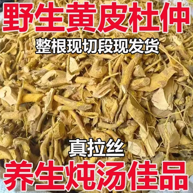 现发整根野生福建纯根土黄皮杜仲