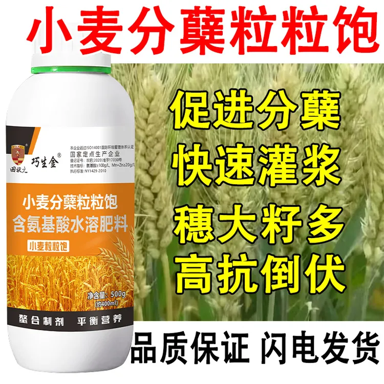 小麦分蘖粒粒饱生根壮苗促进返青加速灌浆籽粒饱满高产增收叶面肥