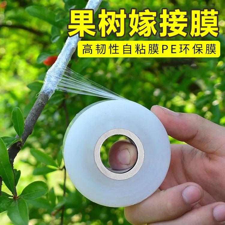 塑料薄膜园林树苗PE自粘式农用果树嫁接用包扎带胶带缠绕高韧性