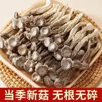 【二哥二嫂优选】精选当季 新鲜 鹿茸菇 脆嫩爽口爆炒均可老少皆宜
