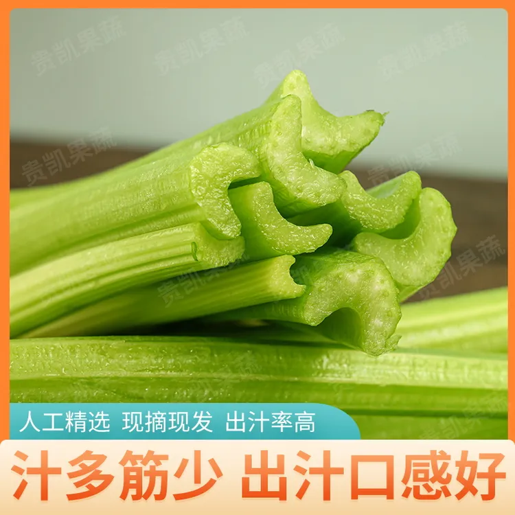 新鲜健康山东原产地直发3-9斤包邮自种生吃西芹榨汁专用水果芹菜
