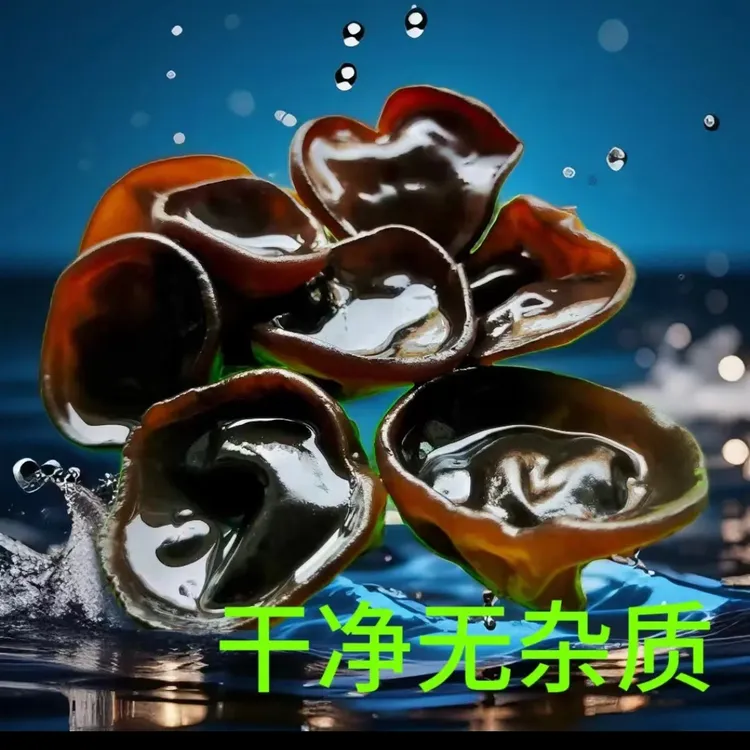 自营木耳东北东宁市头茬春儿黑木耳干净肉厚无根无增重泡发白木耳