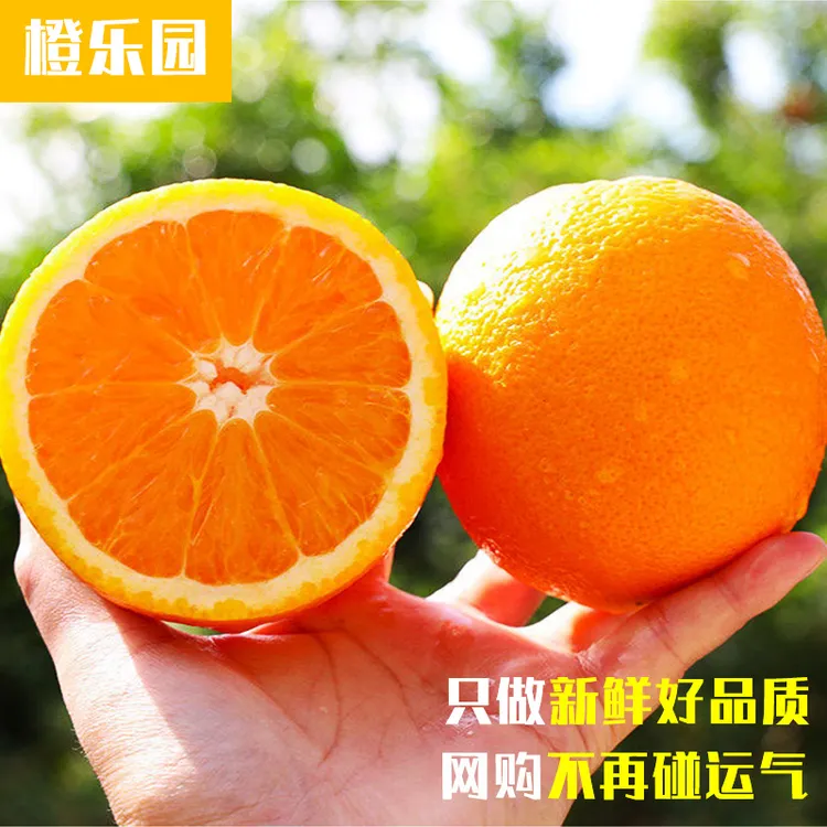 正宗江西赣南脐橙自家果园赣橙现采现摘现发不催熟新鲜应季水果