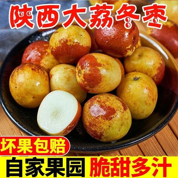 【双重好礼】陕西大荔正宗冬枣3/5斤现摘现发当季新鲜脆甜多汁水果