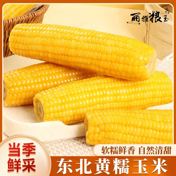 丽雅粮玉2024东北新鲜采摘香甜软糯真空黄玉米8送2共10*220g-280g