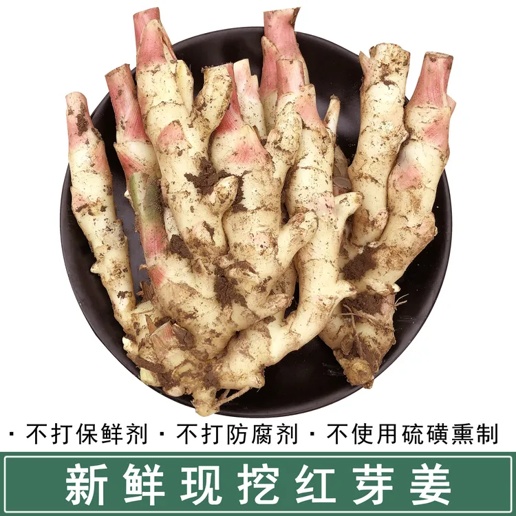 山东红芽鲜姜新鲜生姜仔姜鲜姜腌制红芽姜大姜新姜脆嫩
