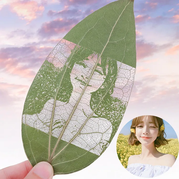 叶雕照片定制树叶画送闺蜜女友生日节日周年纪念日创意情人节礼物