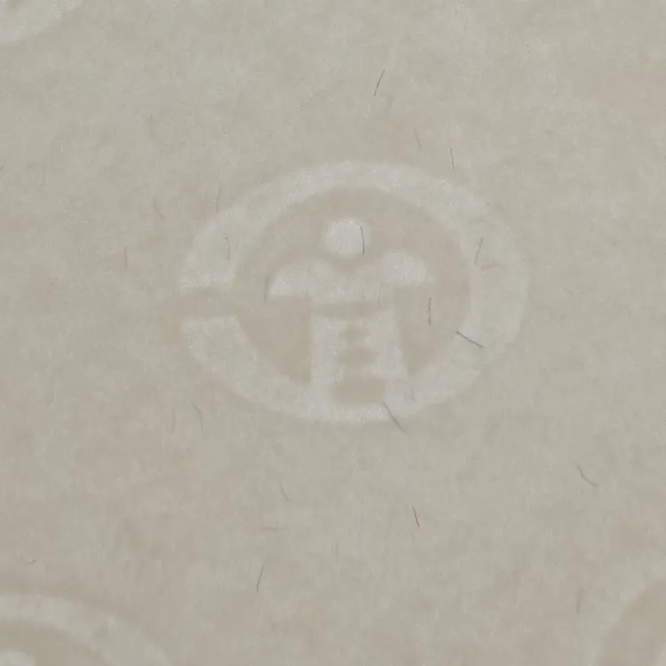 定制防伪水印彩纤纸