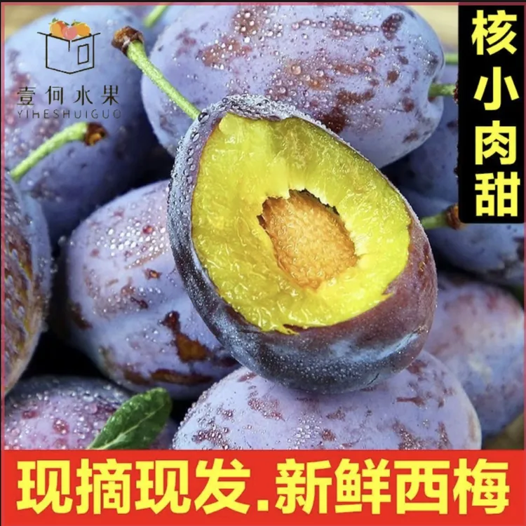 四川汶川高山西梅现摘现发新鲜水果鲜甜软甜孕妇羌寨自家果园