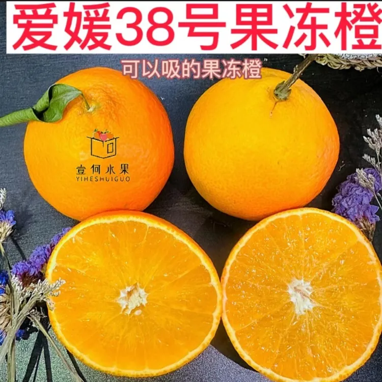 【壹何水果】四川爱媛果冻橙农家自种爱媛橙新鲜采摘产地直发现购买