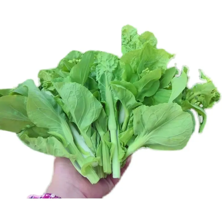 湖南农家露天白菜苔青口白菜心'菜尖苔心菜小白菜苔新鲜 3斤