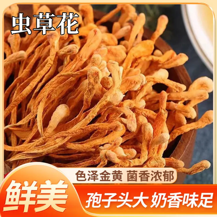 精选新鲜深山虫草花北虫草金虫草煲汤炖汤营养饱满
