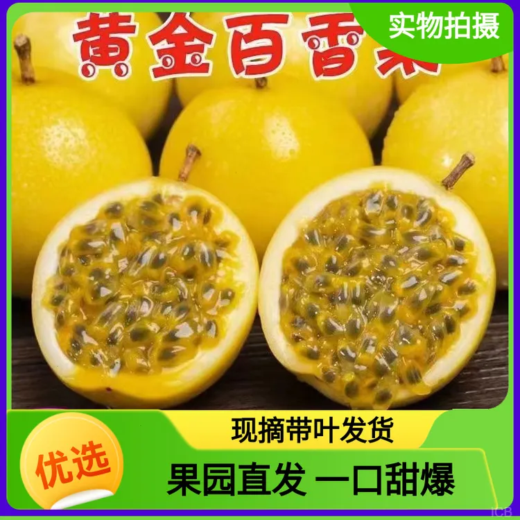 新鲜现摘广西黄金百香果钦蜜9号优选大果营养多汁鸡蛋果坏包赔