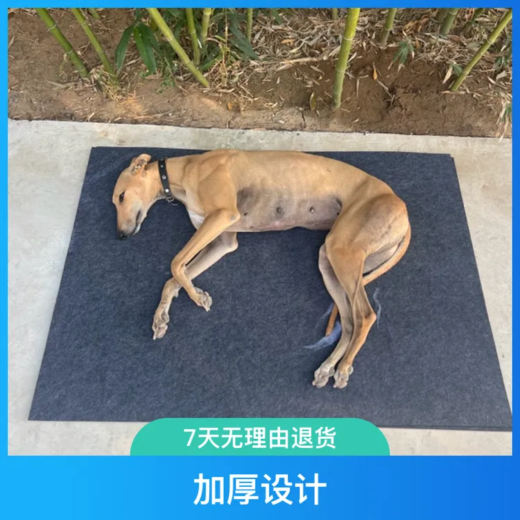 处理轻微缺陷加厚保暖狗垫子