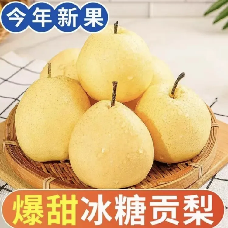 山西贡梨酥梨爆甜多汁梨子冰糖脆甜皮薄细腻新鲜采摘5/9斤装批发