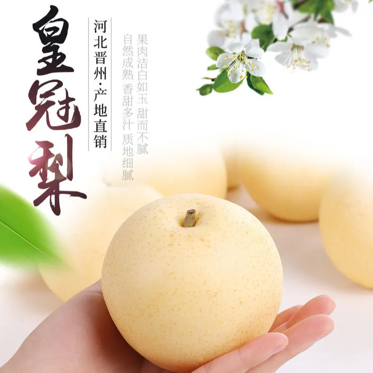 皇冠梨皮薄多汁脆甜口感好吃新鲜精选品质河北产地发货3/5/水果