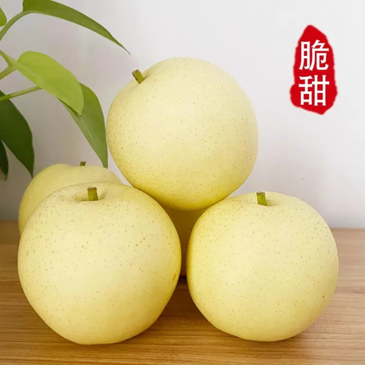 《河北皇冠梨梨子》正宗皮薄脆甜视频口感好吃多汁产地发货新鲜水果