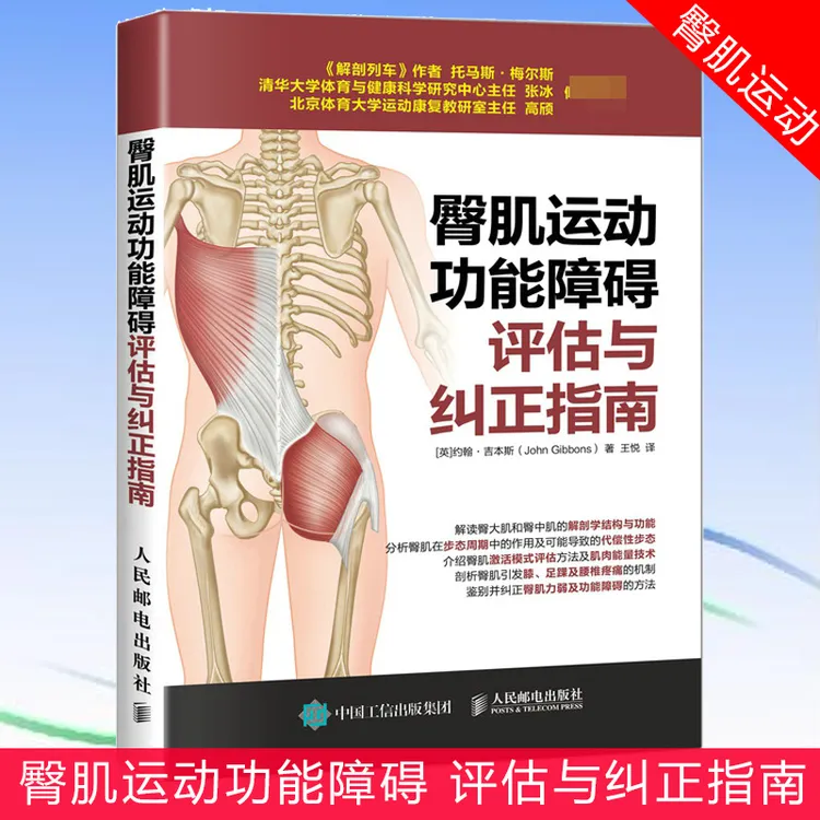臀肌运动功能障碍评估与纠正指南 健身教练书籍培训教材教程 运动