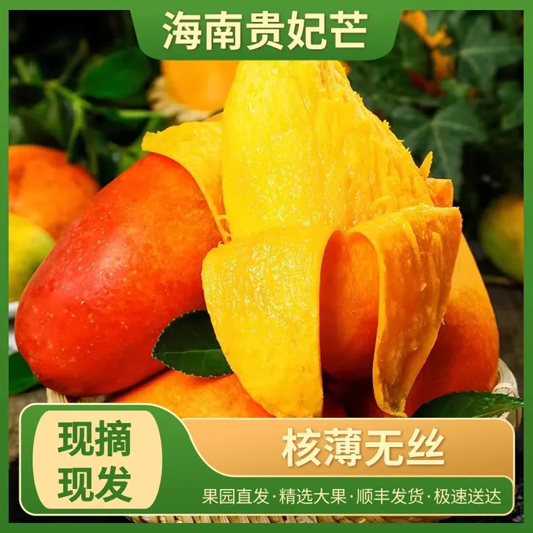 海南贵妃芒当季大果无丝水果多汁现摘现发包装顺丰【京东】包邮
