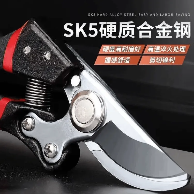 抢7.9元！德系工艺剪果树家用枝条剪修枝剪花木葡萄修剪剪子大全