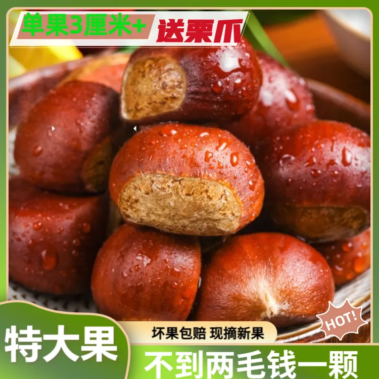 鲜榜咖2025丹东高山板栗5斤精选大果非油栗难剥皮赠栗爪（PG2)