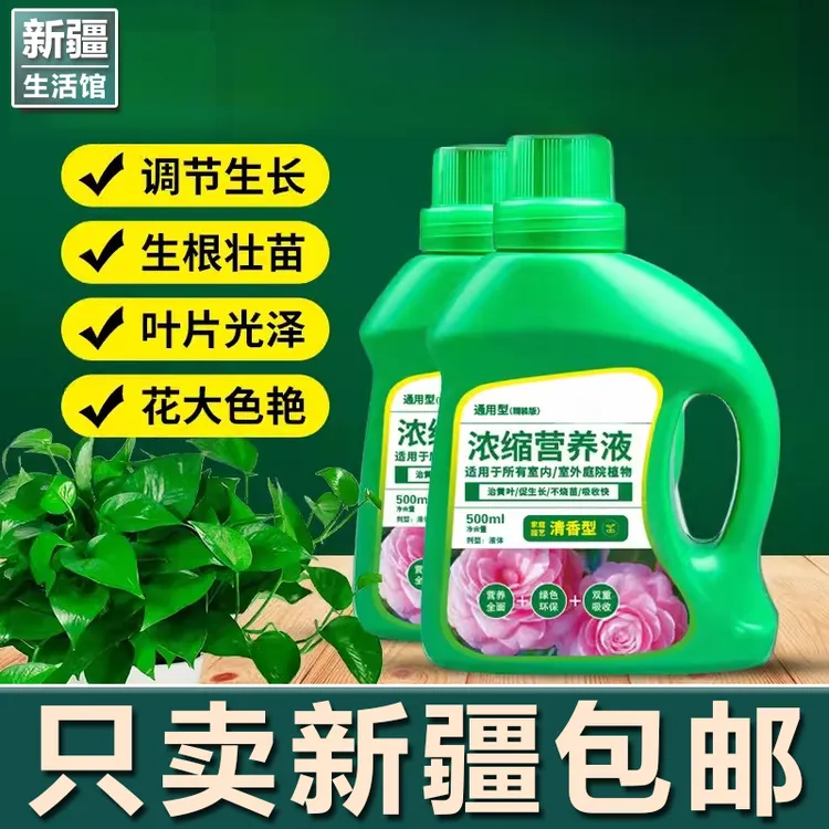 新疆生活馆营养液植物通用型花肥发财树富贵竹绿萝水培盆栽促进花商品图