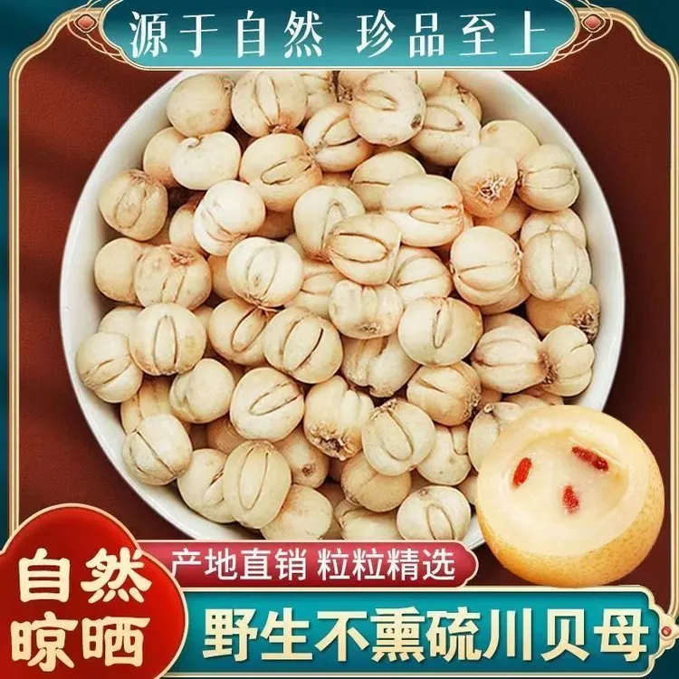 正宗四川贝母小颗粒原色无硫野生川贝野生松贝母50g可做秋梨膏