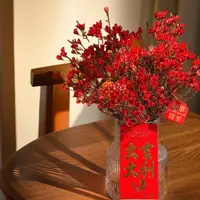 {澳洲腊梅}吸色腊梅鲜花云南基地直发水养冬季鲜切花