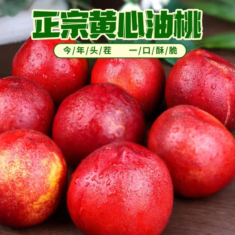 油桃黄心油桃新鲜水果脆甜当季头茬现摘现发孕妇香甜多汁整箱包邮