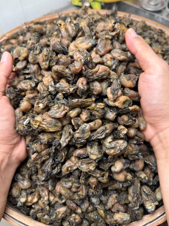 闽南特产足干新鲜海蛎干