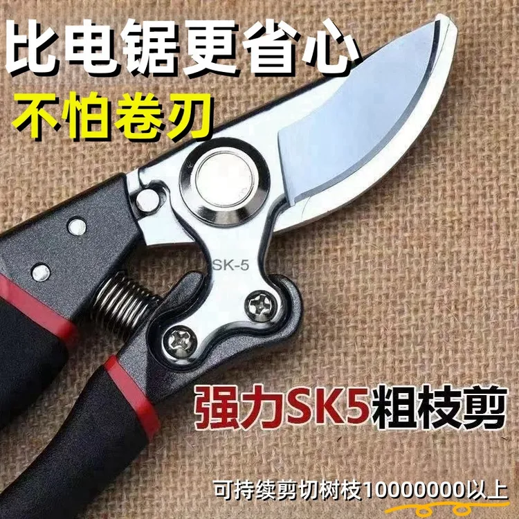 德国原装剪树剪子果树剪耐用多功能修枝剪花卉花枝剪刀花木修枝剪商品图