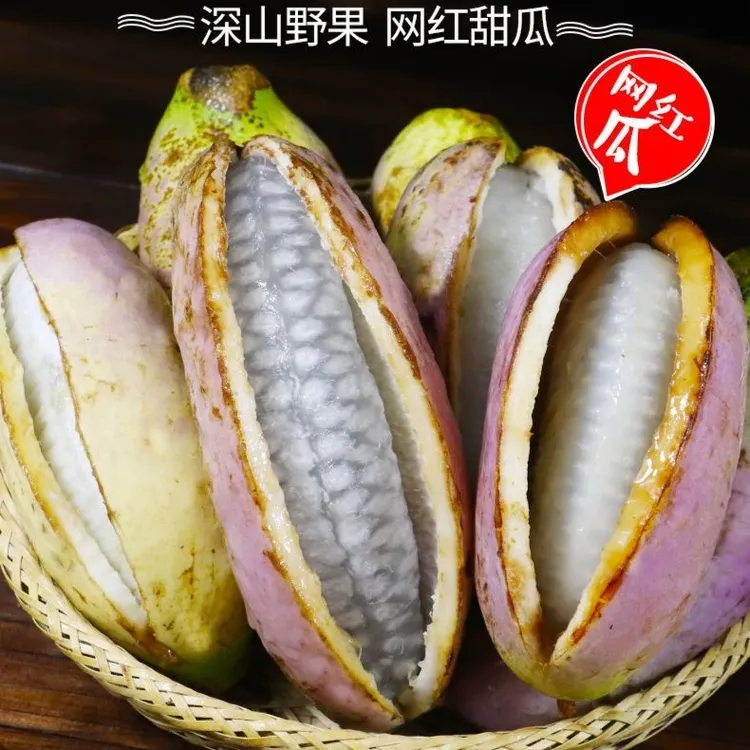 云南八月瓜3斤5斤包邮